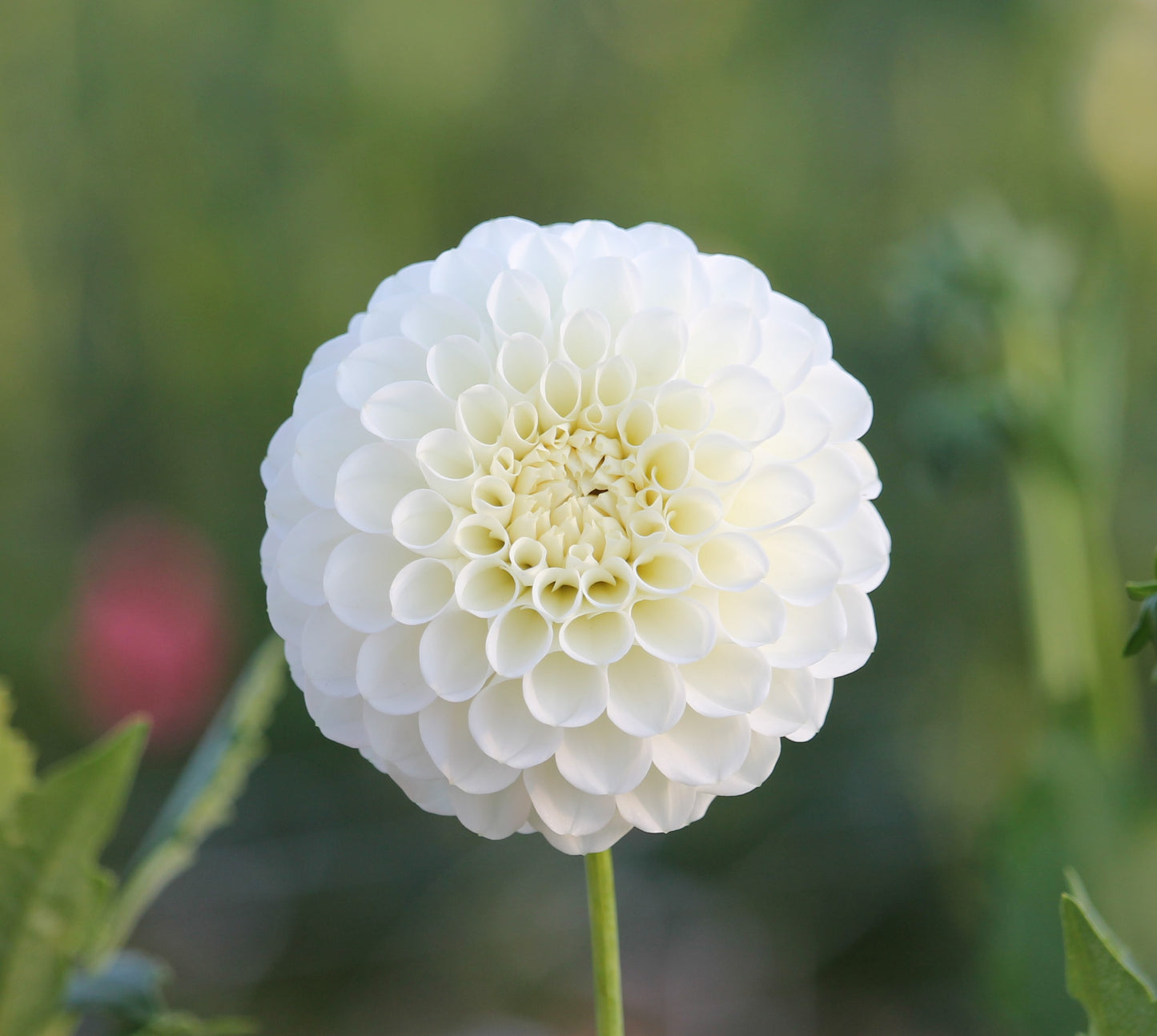 20th Ave & Baker Rd.