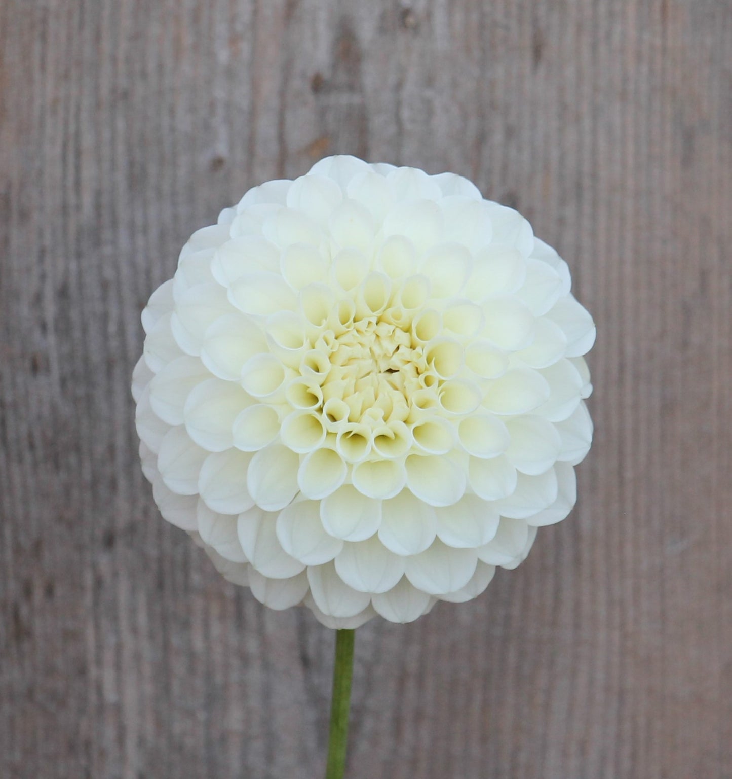 20th Ave & Baker Rd.