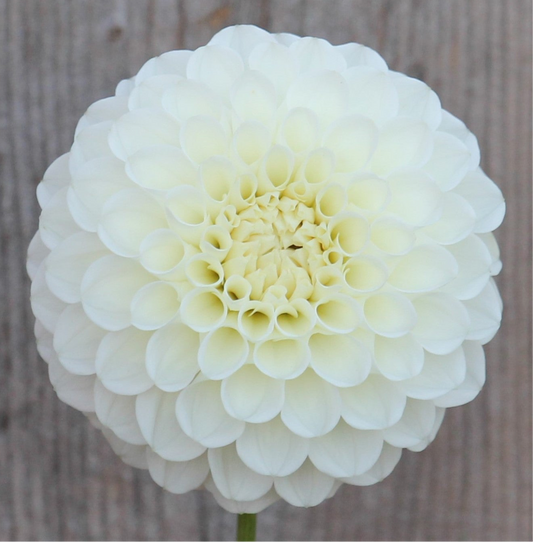 20th Ave & Baker Rd.